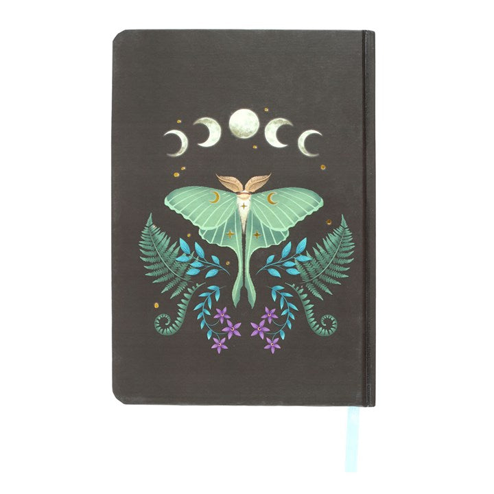 Carnet A5 Papillon de nuit