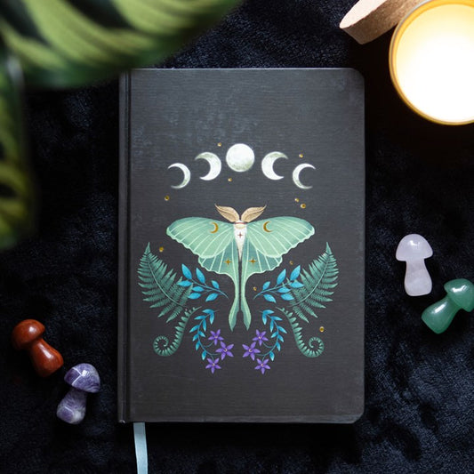 Carnet A5 Papillon de nuit