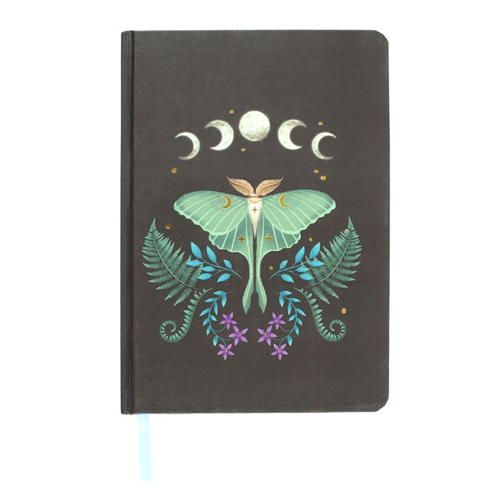 Carnet A5 Papillon de nuit