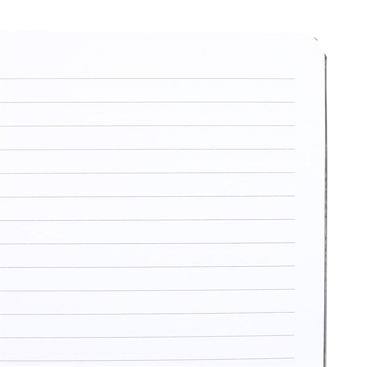 Carnet A5 Papillon de nuit