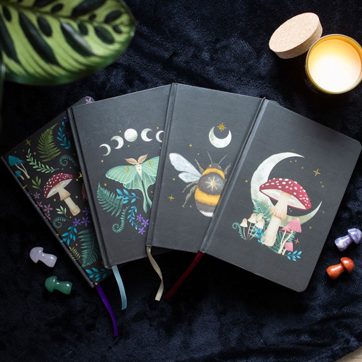 Carnet A5 Papillon de nuit