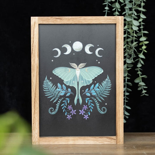 Tableau en bois Papillon de nuit