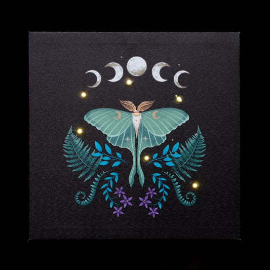 Toile murale lumineuse Papillon de nuit